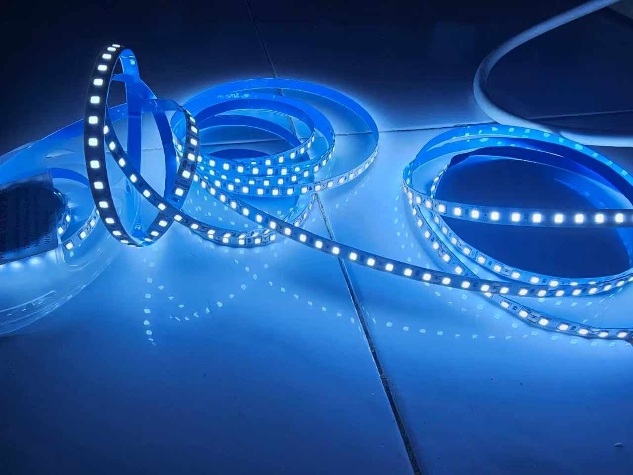 Blue LED Strip Light (5 Meter Roll)